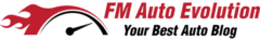 FM Auto Evolution